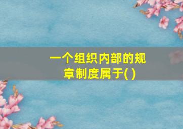 一个组织内部的规章制度属于( )